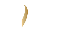 IBV Logo Without Countries 2