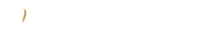ibv feberge logo